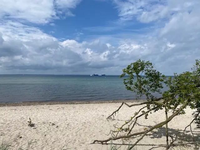 Ostseeküste bei Rosenhagen